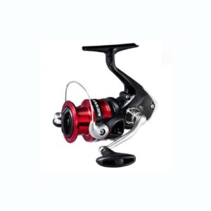 Carrete Shimano Sienna C3000